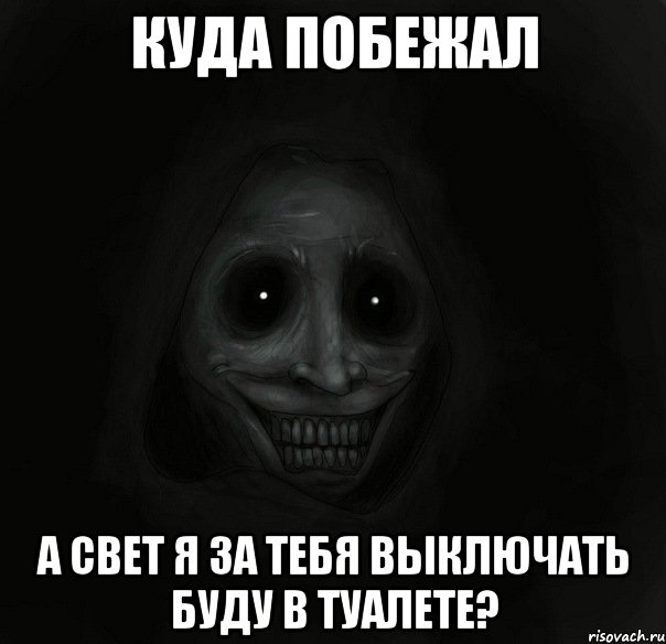 куда побежал а свет я за тебя выключать буду в туалете?, Мем Ночной гость