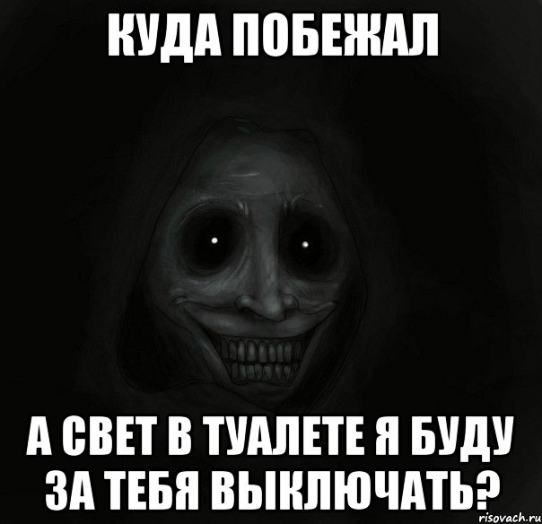 куда побежал а свет в туалете я буду за тебя выключать?, Мем Ночной гость