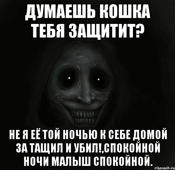 Думаешь кошка тебя защитит? Не я её той ночью к себе домой за тащил и убил!,спокойной ночи малыш спокойной., Мем Ночной гость