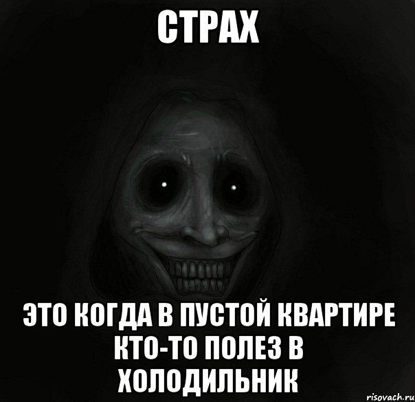 Страх Это когда в пустой квартире кто-то полез в холодильник, Мем Ночной гость