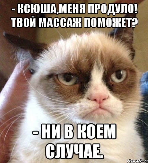 - Ксюша,меня продуло! Твой массаж поможет? - Ни в коем случае.
