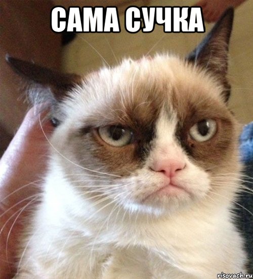 сама сучка 