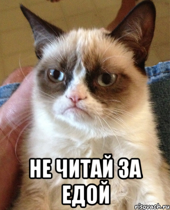  НЕ ЧИТАЙ ЗА ЕДОЙ, Мем Grumpy Cat small