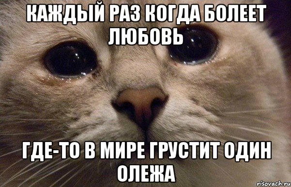 Каждый раз когда болеет Любовь Где-то в мире грустит один Олежа, Мем   В мире грустит один котик