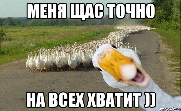 меня щас точно на всех хватит )), Мем гуси