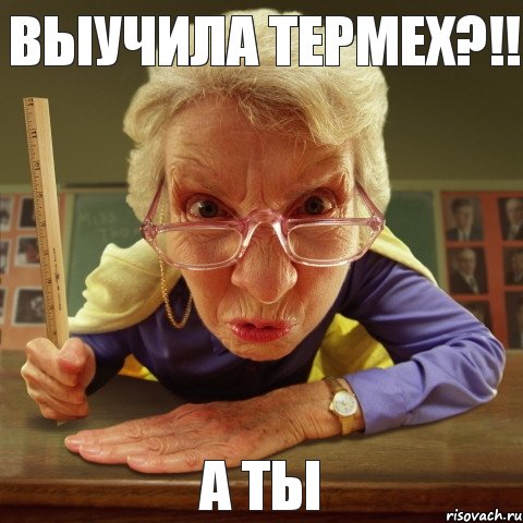 А ТЫ ВЫУЧИЛА ТЕРМЕХ?!!, Мем Злая училка