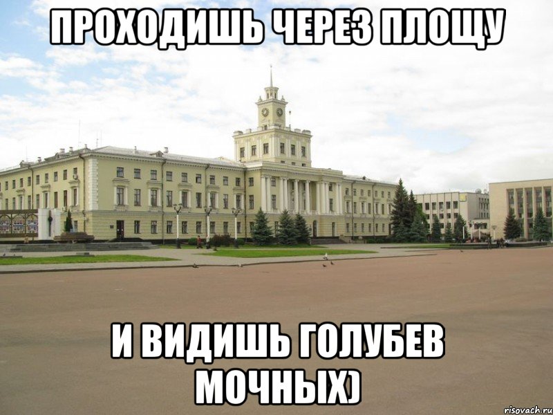 Проходишь через площу и видишь голубев мочных)
