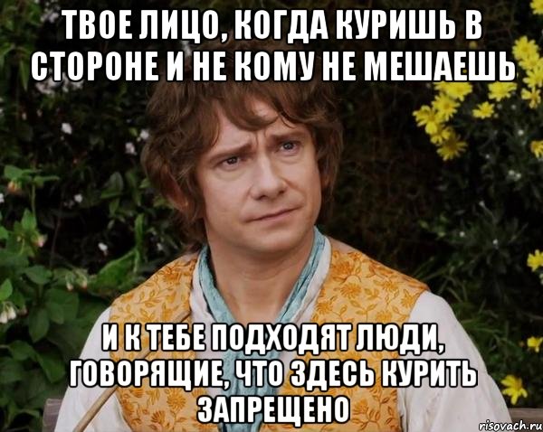 Твое лицо, когда куришь в стороне и не кому не мешаешь и к тебе подходят люди, говорящие, что здесь курить запрещено, Мем хоббит