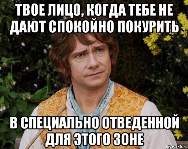 Твое лицо, когда тебе не дают спокойно покурить в специально отведенной для этого зоне, Мем хоббит