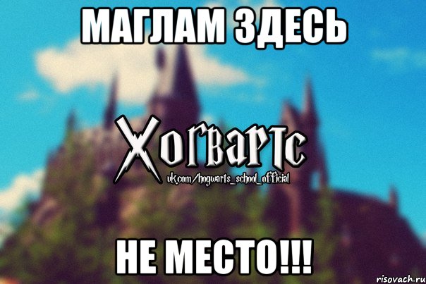 МАГЛАМ ЗДЕСЬ НЕ МЕСТО!!!, Мем Хогвартс