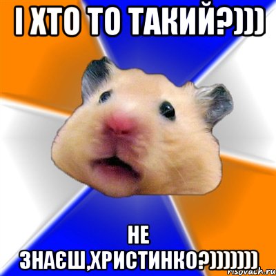 І хто то такий?))) Не знаєш,Христинко?))))))), Мем Хомяк