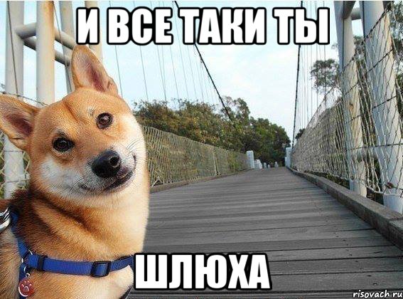 И все таки ты шлюха