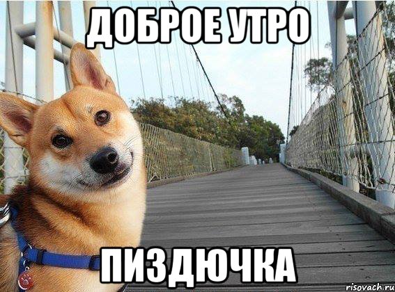Доброе утро Пиздючка