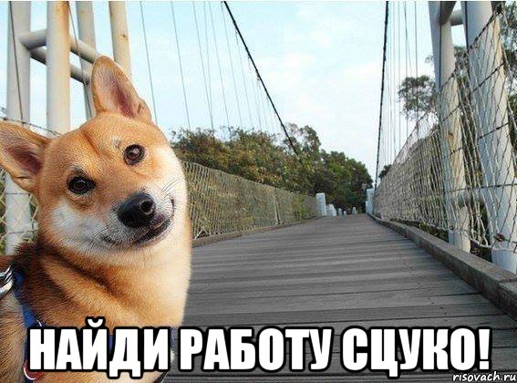  Найди работу сцуко!