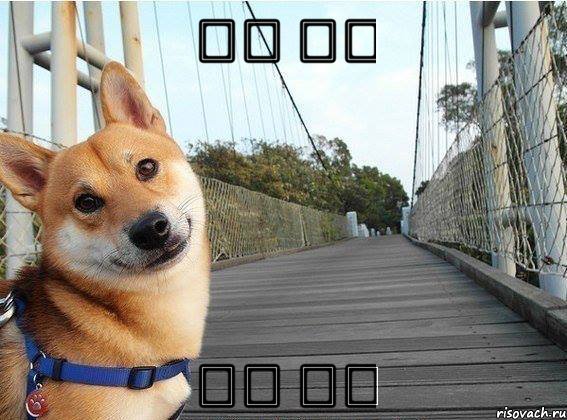 ᅠᅠ ᅠᅠ ᅠᅠ ᅠᅠ