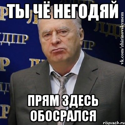 Ты чё негодяй прям здесь обосрался, Мем Хватит это терпеть (Жириновский)