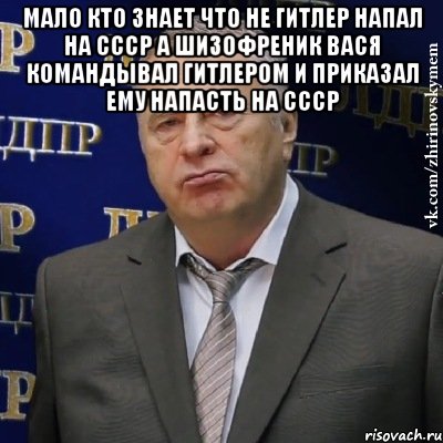 мало кто знает что не гитлер напал на ссср а шизофреник вася командывал гитлером и приказал ему напасть на ссср , Мем Хватит это терпеть (Жириновский)