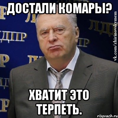Достали комары? Хватит это терпеть., Мем Хватит это терпеть (Жириновский)