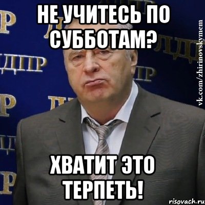 Не учитесь по субботам? Хватит это терпеть!, Мем Хватит это терпеть (Жириновский)