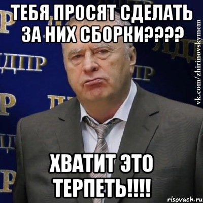 Тебя просят сделать за них сборки???? Хватит это терпеть!!!!, Мем Хватит это терпеть (Жириновский)