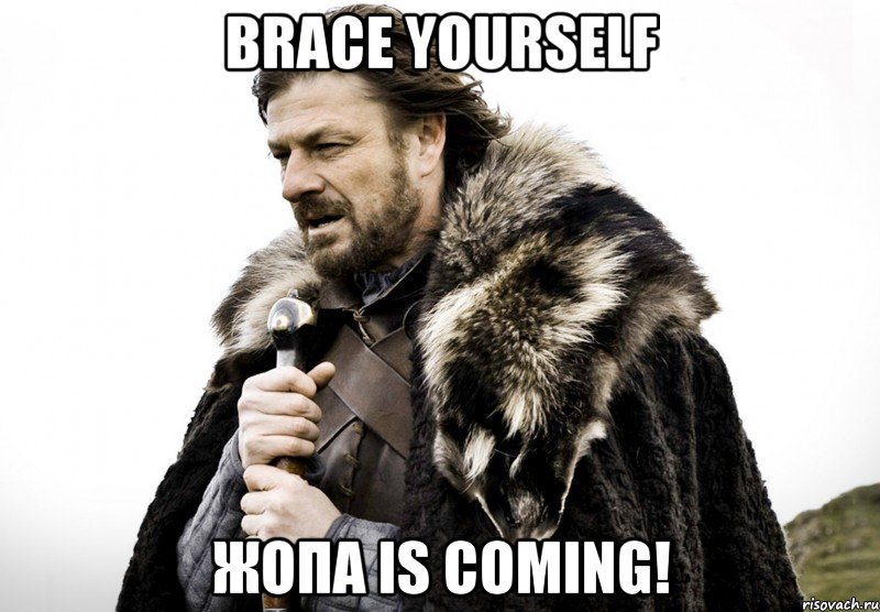 Brace Yourself Жопа is coming!, Мем Зима близко крепитесь (Нед Старк)