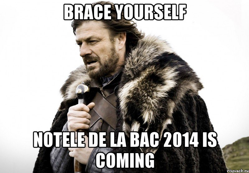 Brace yourself Notele de la bac 2014 is coming, Мем Зима близко крепитесь (Нед Старк)