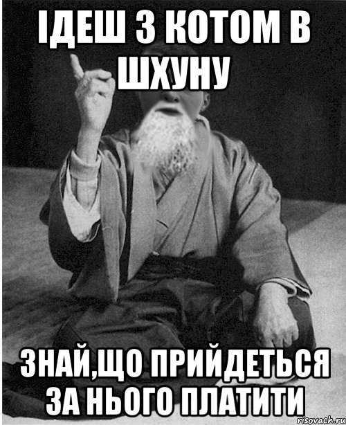Ідеш з Котом в Шхуну знай,що прийдеться за нього платити