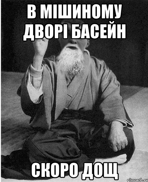 В Мішиному дворі басейн скоро дощ