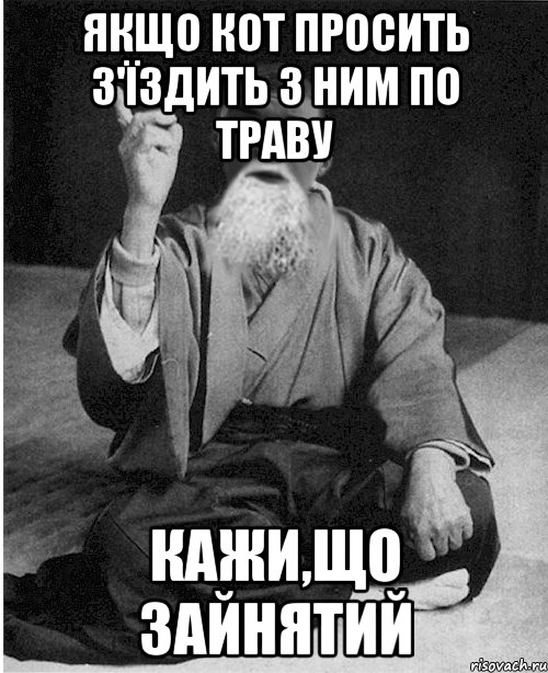 Якщо Кот просить з'їздить з ним по траву кажи,що зайнятий