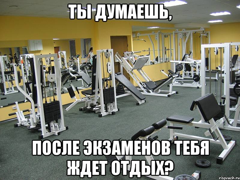 Ты думаешь, после экзаменов тебя ждет отдых?