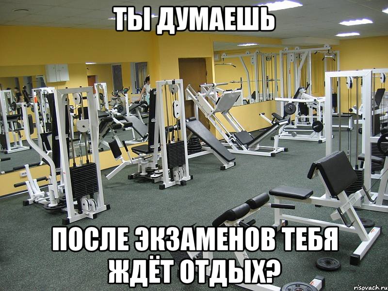 ты думаешь после экзаменов тебя ждёт отдых?
