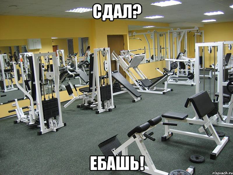Сдал? Ебашь!