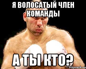 Я волосатый Член команды А ты кто?, Мем каменная голова