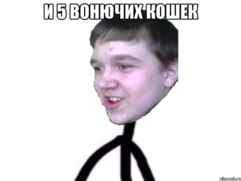 и 5 вонючих кошек 