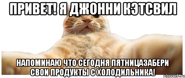 Привет! Я Джонни Кэтсвил Напоминаю что сегодня пятницаЗабери свои продукты с холодильника!, Мем   Кэтсвилл