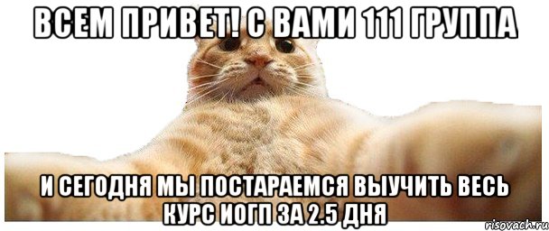 Всем привет! с вами 111 группа и сегодня мы постараемся выучить весь курс ИОГП за 2.5 дня, Мем   Кэтсвилл