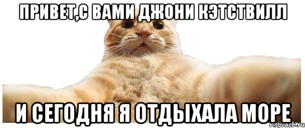 Привет,с вами Джони Кэтствилл И сегодня я отдыхала море, Мем   Кэтсвилл