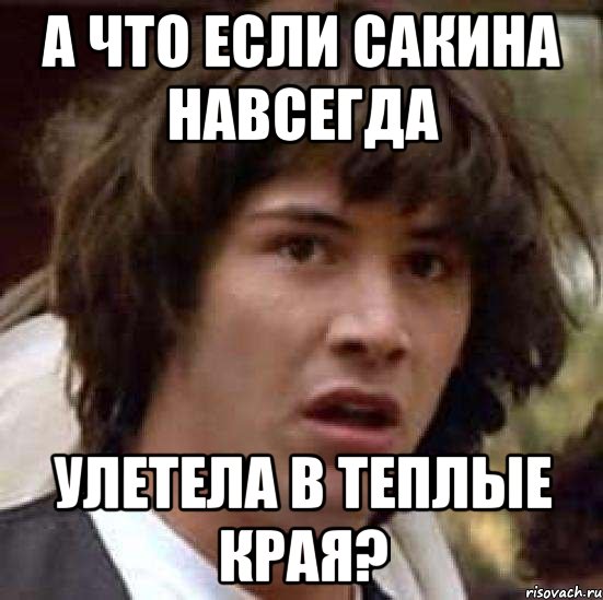 А что если Сакина навсегда улетела в теплые края?, Мем А что если (Киану Ривз)