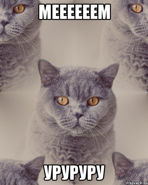 меееееем уруруру