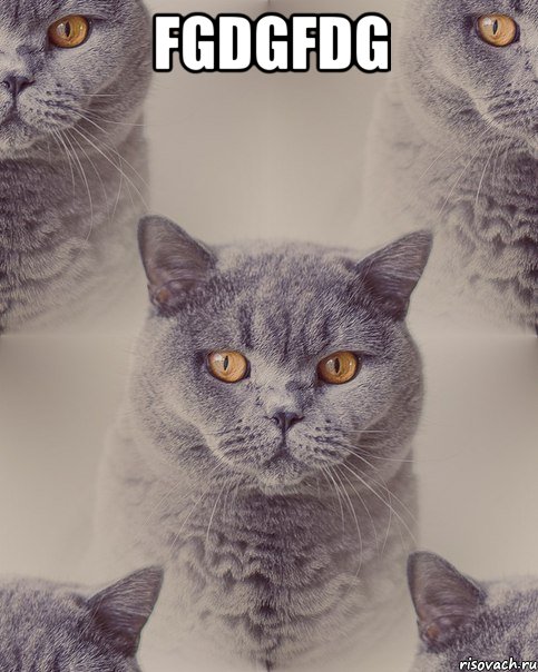 fgdgfdg 