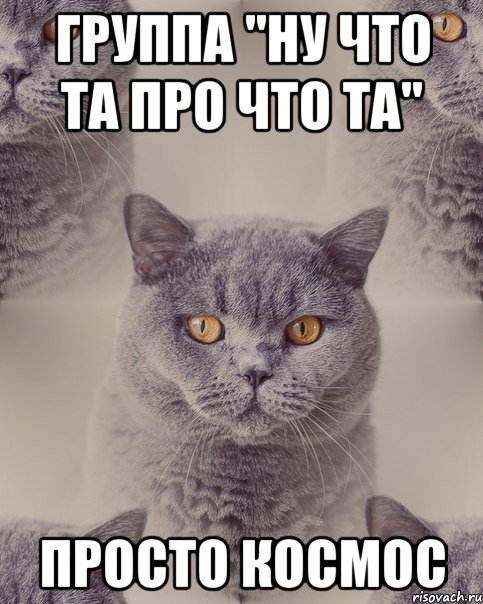 группа "ну что та про что та" просто космос