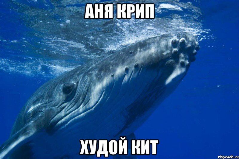 Аня Крип Худой кит