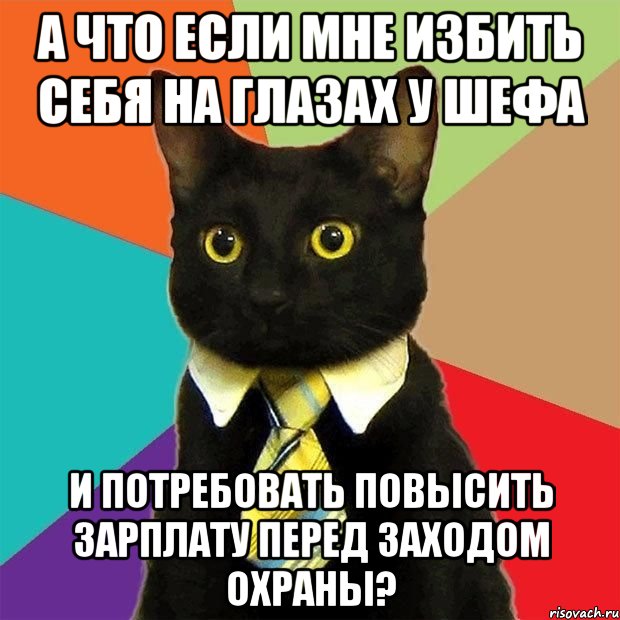 А что если мне избить себя на глазах у шефа И потребовать повысить зарплату перед заходом охраны?, Мем  Кошечка