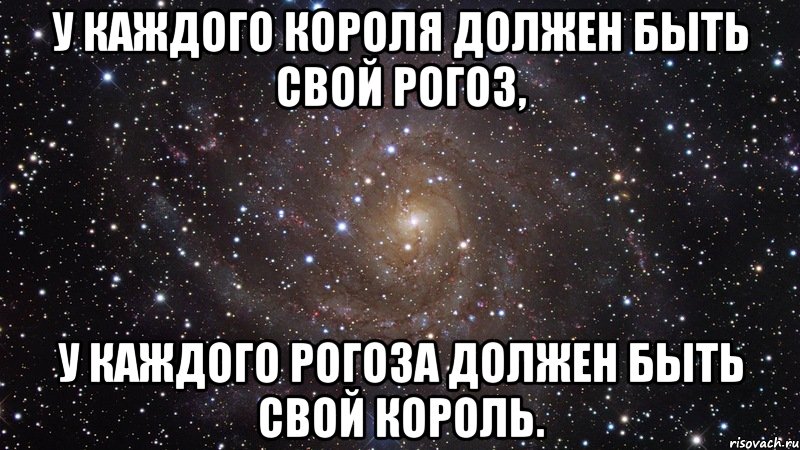 У каждого короля должен быть свой рогоз, у каждого рогоза должен быть свой король., Мем  Космос (офигенно)