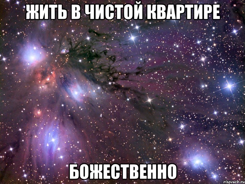 жить в чистой квартире божественно, Мем Космос