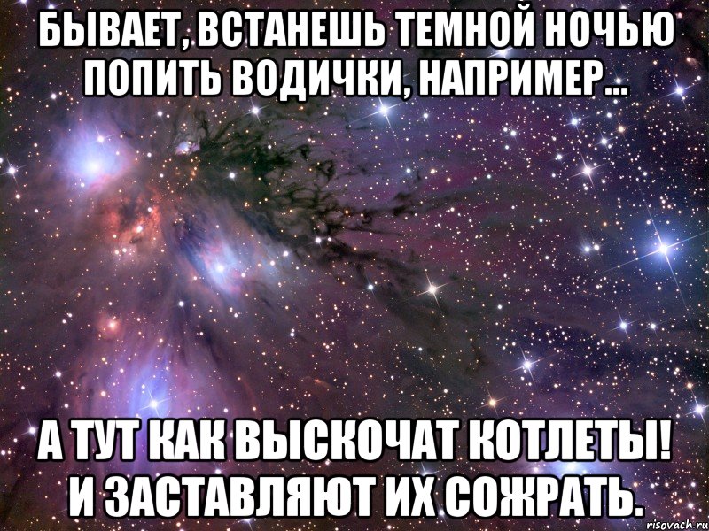 бывает, встанешь темной ночью попить водички, например... а тут как выскочат котлеты! и заставляют их сожрать., Мем Космос