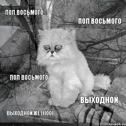 пол восьмого пол восьмого выходной же )))00) выходной пол восьмого, Комикс  кот безысходность