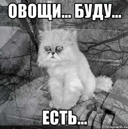 Овощи... буду... Есть...