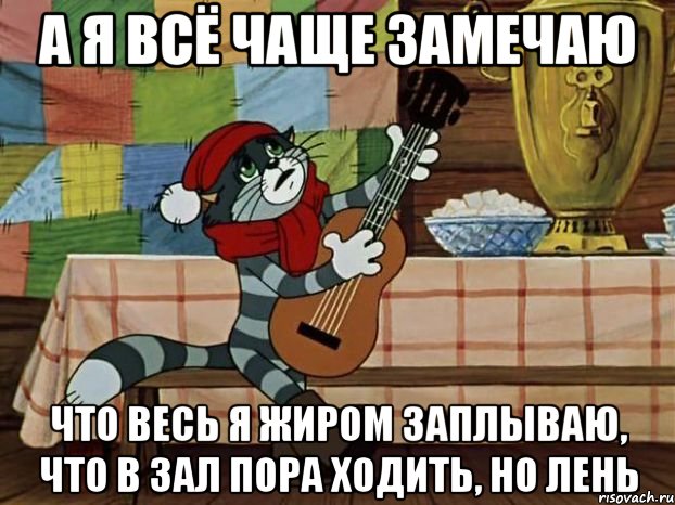 А я всё чаще замечаю Что весь я жиром заплываю, что в зал пора ходить, но лень, Мем Кот Матроскин с гитарой