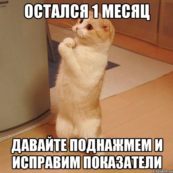 http://risovach.ru/upload/2014/06/mem/kote_52109445_orig_.jpg